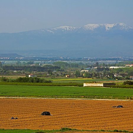 Hostal La Parrilla Tudela Luaran gambar