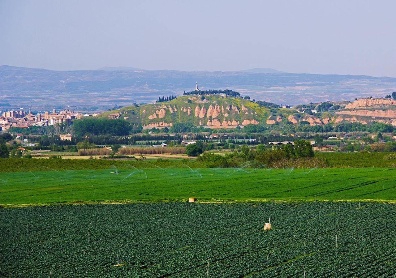 Hostal La Parrilla Tudela Luaran gambar